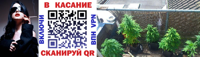 Как найти закладки Бутурлиновка Конопля  A PVP  ГАШ 