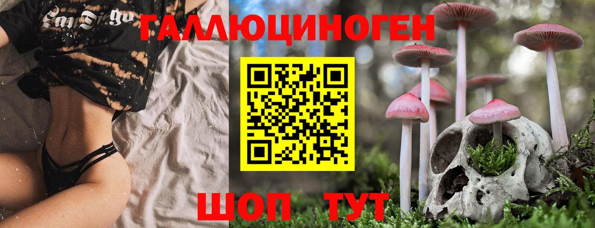 где можно купить наркотик  Галлюциногенные грибы Cubensis  Бутурлиновка  Галлюциногенные грибы MAGIC MUSHROOMS 