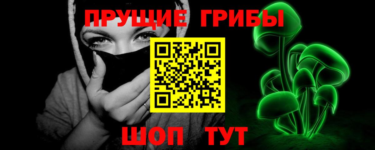 Галлюциногенные грибы Psilocybe  Вход с VPN  Галлюциногенные грибы мухоморы  Бутурлиновка 